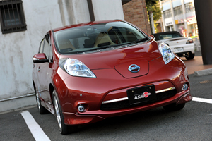 111231 LEAF 2 .jpg